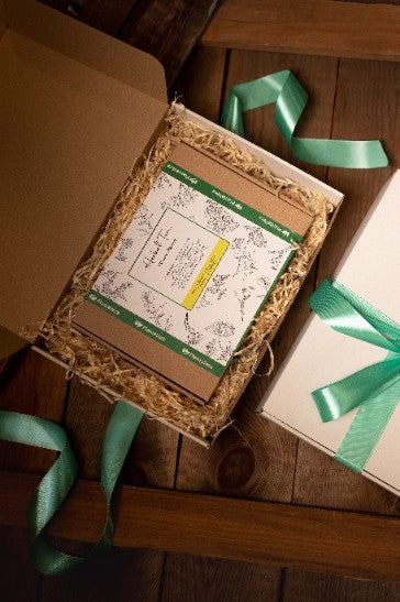 Geschenkbox mit Planta Vera Herbal Tea und grünem Band auf rustikalem Holzhintergrund, ideal für Tee-Liebhaber.